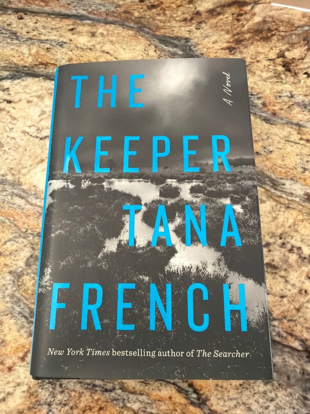 The Keeper by Tana French